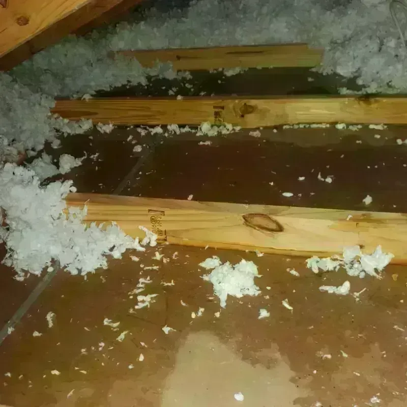 Attic Water Damage in Blue Earth County, MN