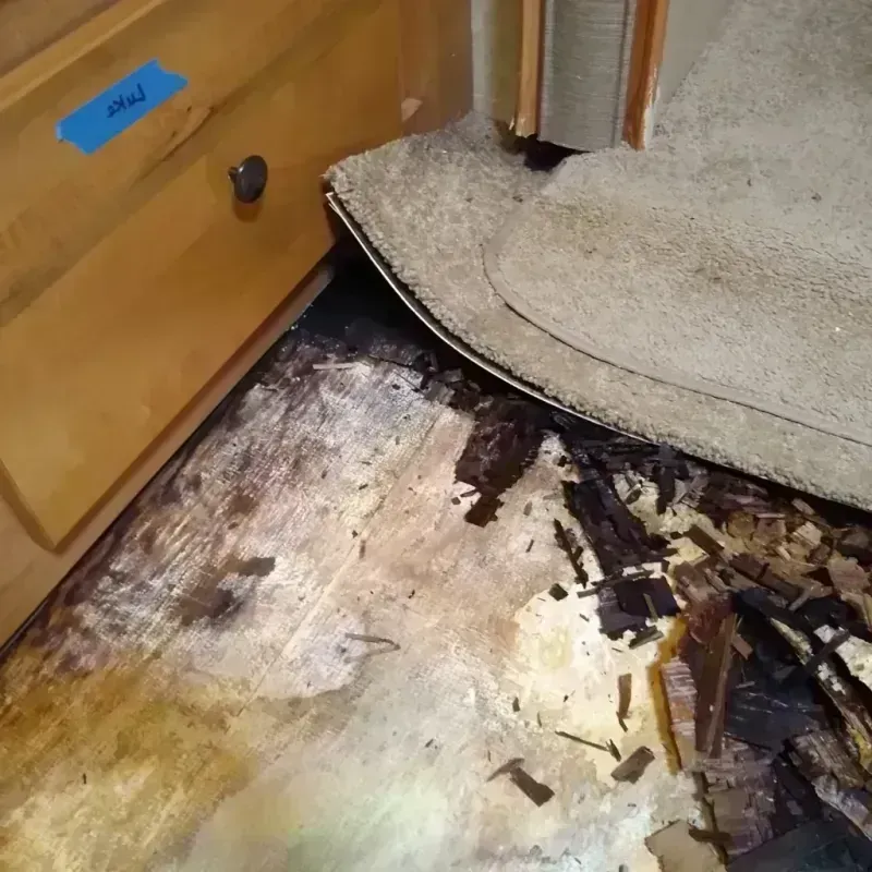 Wood Floor Water Damage in Blue Earth County, MN